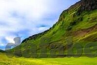 官方足球比分-从官方足球比分看竞技体育的魅力与数据背后的故事