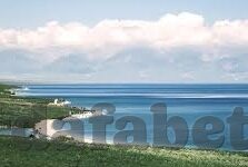 即使足球比分网-即使足球比分网，数字时代的绿茵场镜像