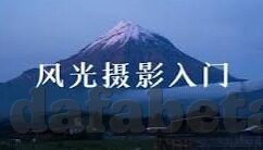 新浪足球比分直播现场-新浪足球比分直播现场，绿茵激情的实时传递者