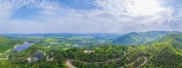 足球118比分直播网-探秘足球118比分直播网，球迷的实时信息宝藏库