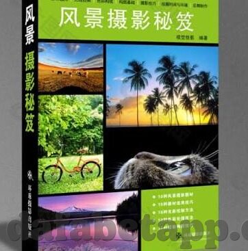 足球比分一-足球比分一，绿茵场上的数字密码与激情交响