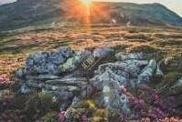 足球即时比分历史比分-足球即时比分与历史比分，绿茵场上的时间印记与未来预判