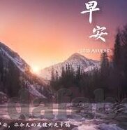 足球即时比分历史比分-足球即时比分与历史比分，足球世界的时光密码